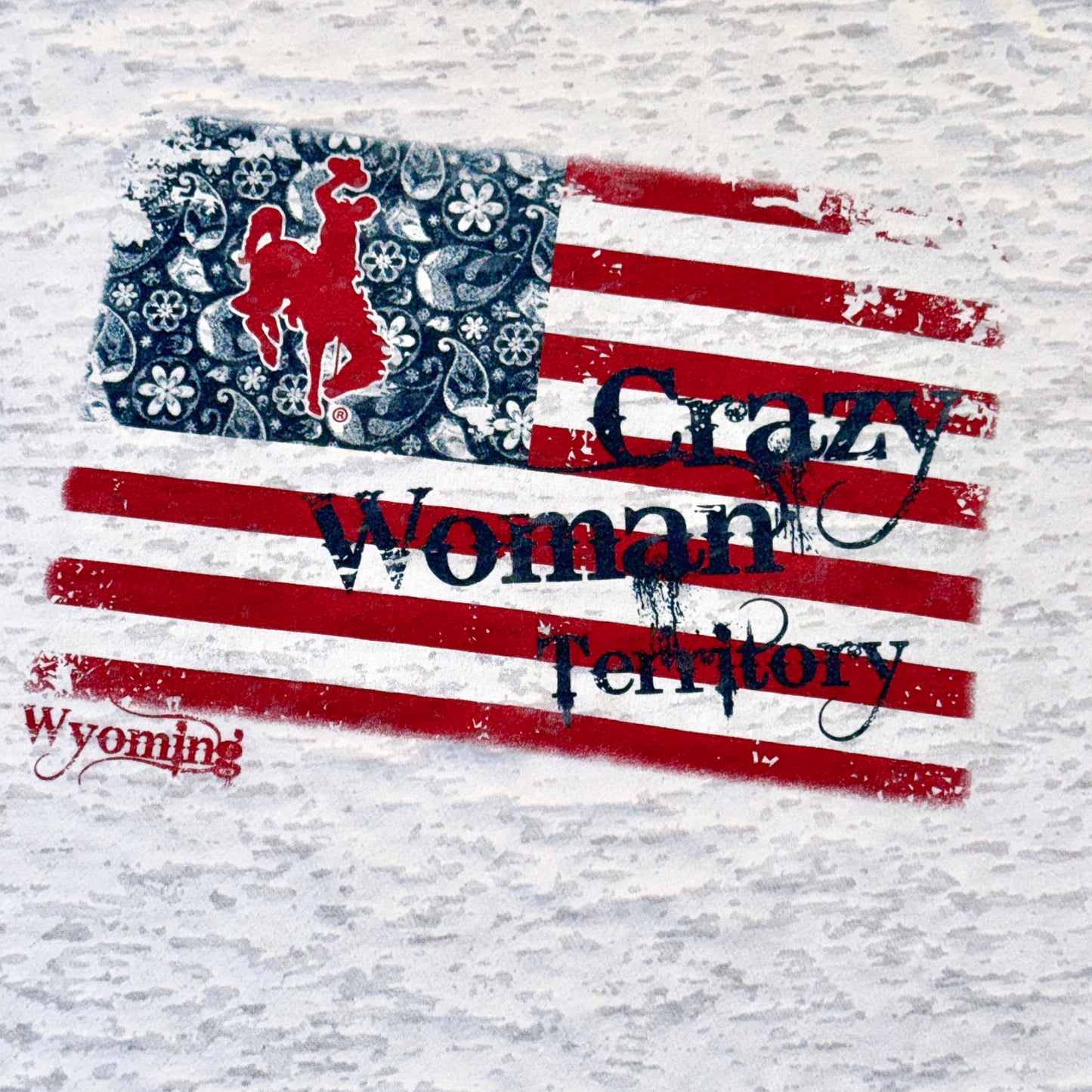 Wyoming Crazy Woman Territory American Flag Graphic Tee (L)
