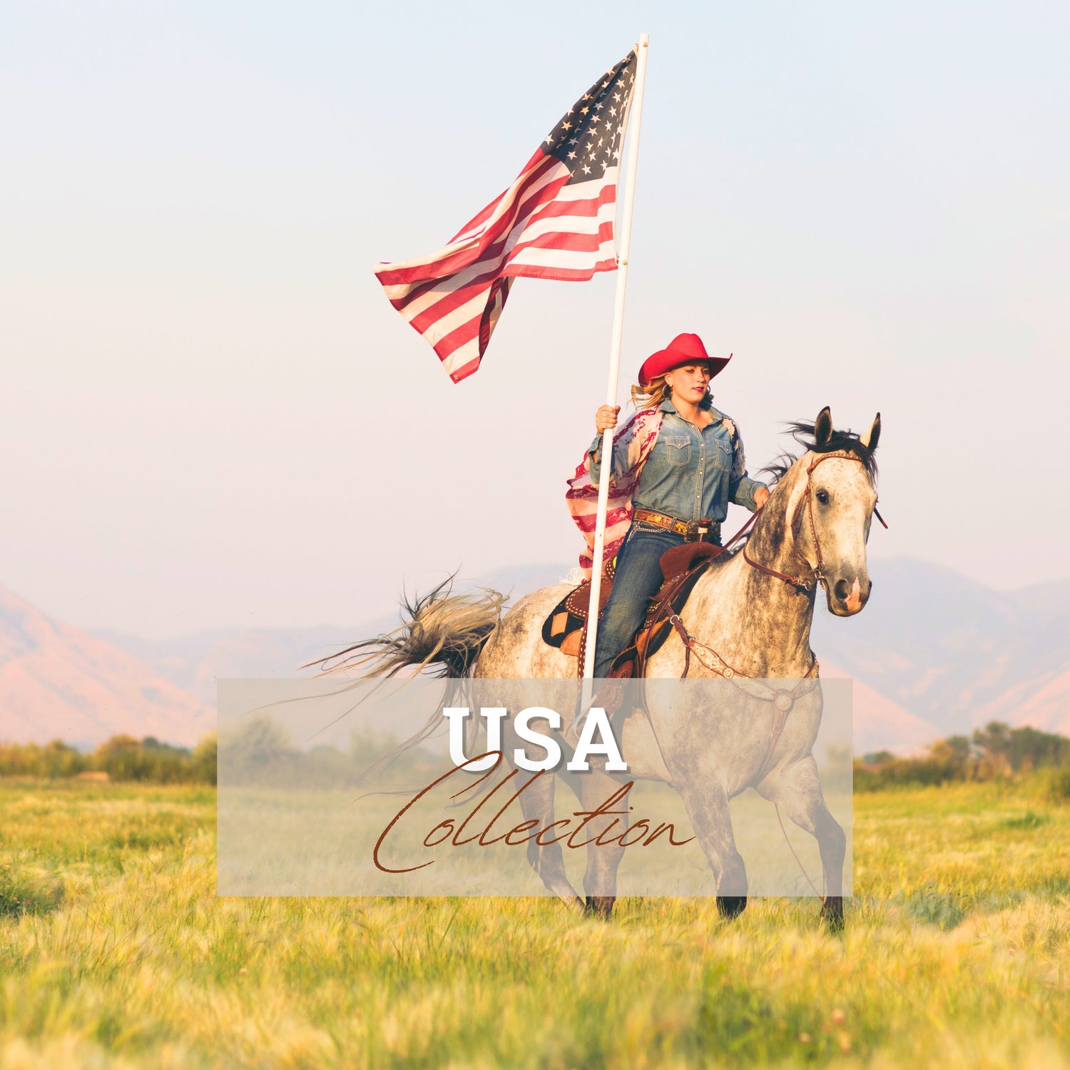 USA COLLECTION